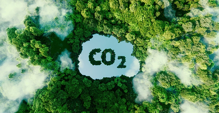 Parler de bilan carbone, n’est-ce pas déjà obsolète ? - featured image